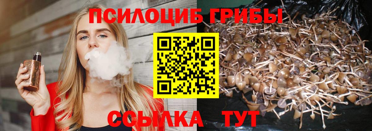 Псилоцибиновые грибы ЛСД  Вход с VPN  Галлюциногенные грибы Psilocybine cubensis  Арзамас 