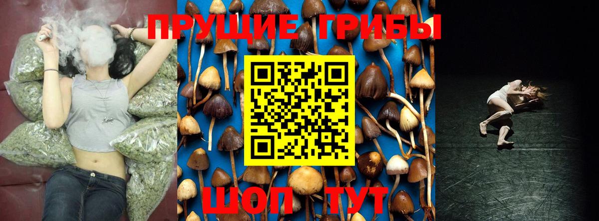 Псилоцибиновые грибы MAGIC MUSHROOMS Арзамас